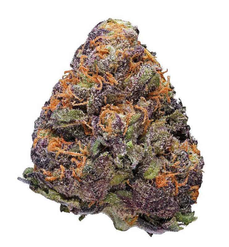 Medical Marijuana Feature: Lavender
