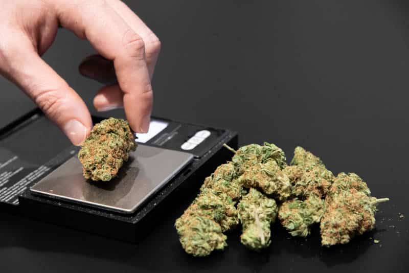 Cannabis Buying Quantities & How to Keep Your Cannabis Fresh