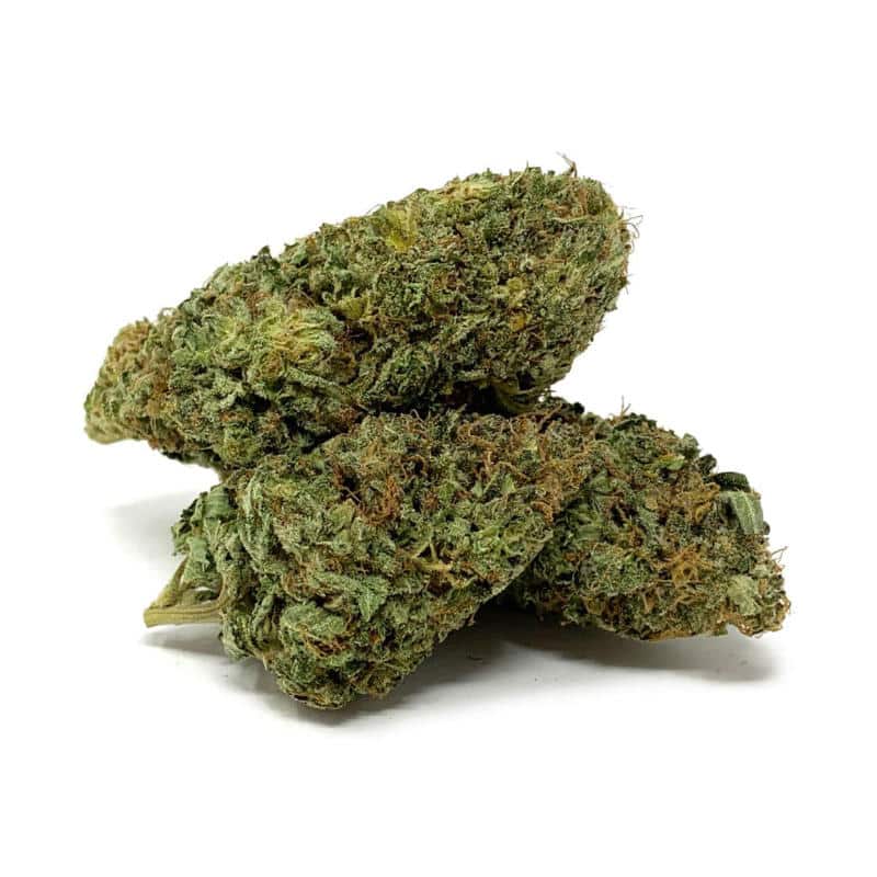 Marijuana Dispensary Feature: Blueberry Strain