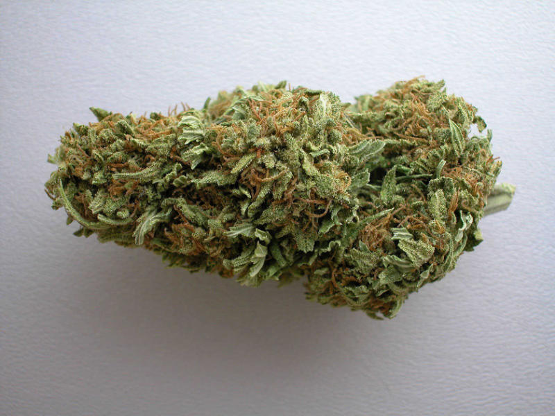 Marijuana Dispensary Feature: Big Bud