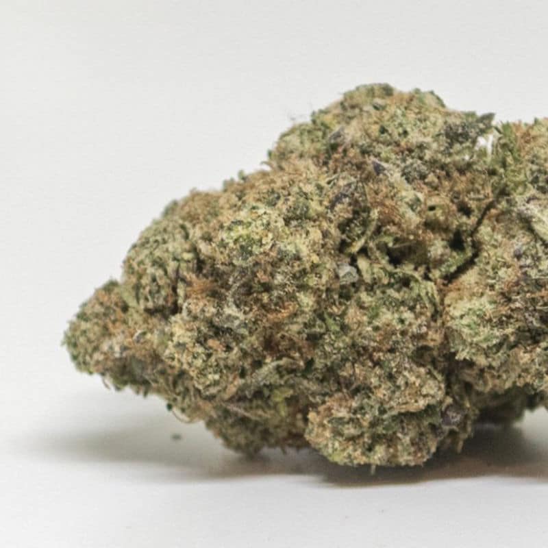 Marijuana Dispensary Feature: King Kong