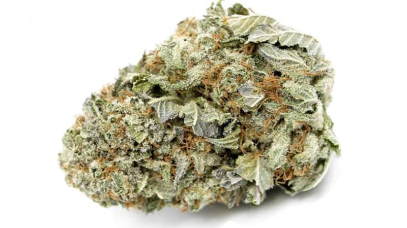 Marijuana Dispensary Feature: Skywalker OG Strain