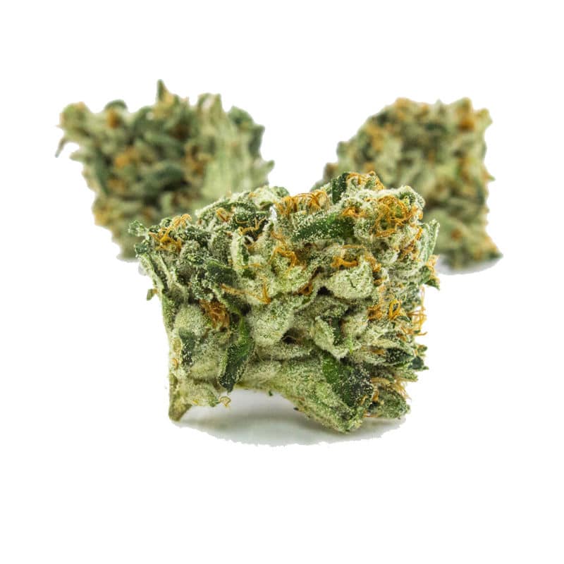 Marijuana Dispensary Feature: True OG Strain