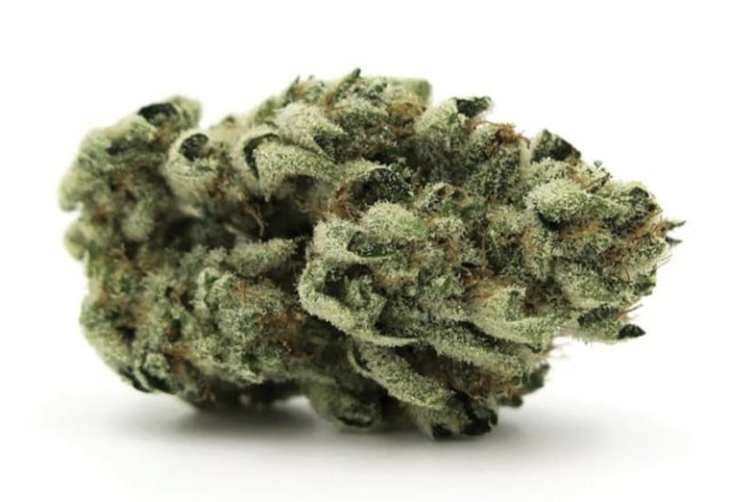 Marijuana Dispensary Feature: Diamond OG