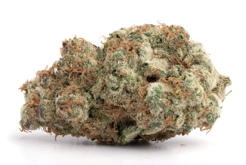 Marijuana Dispensary Feature: PermaFrost