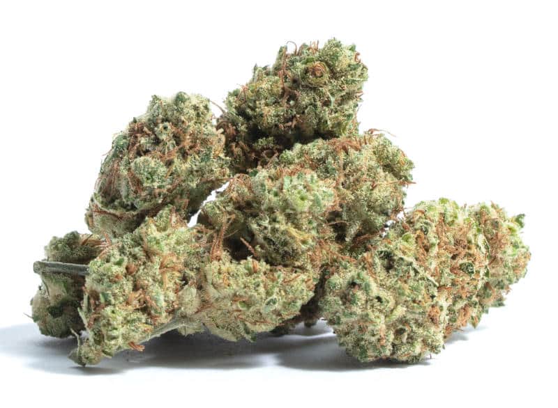 Marijuana Dispensary Feature: Chem Diesel