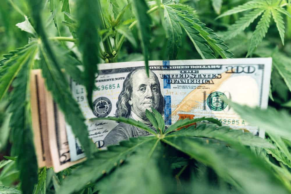 Benefits of Cannabis to the Oklahoma Economy
