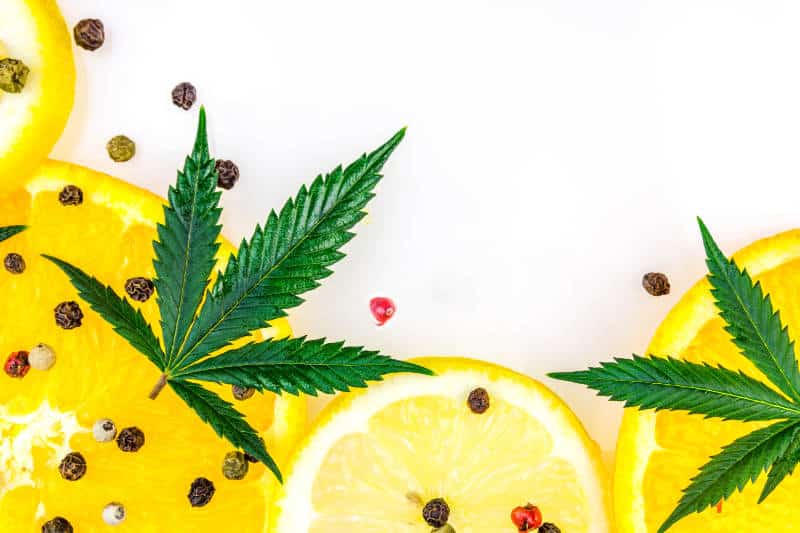 Cannabis Terpene – Beta-Caryophyllene