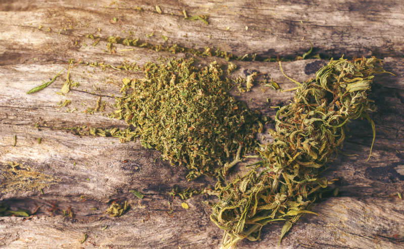 Unveiling Linalool: The Soothing Essence of Cannabis