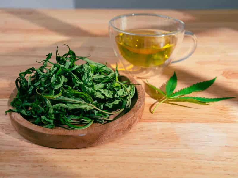 Exploring the Richness of Cannabis Tea with Loose Leaf Cannabis