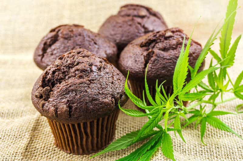 Exploring the World of Cannabis-Infused Chocolate Muffins