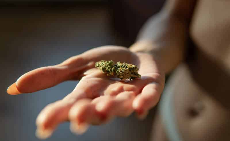 Cannabis and Fitness: How Marijuana Can Enhance Your Workout