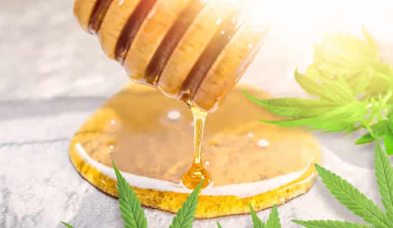 Discovering the World of Cannabis-Infused Honey