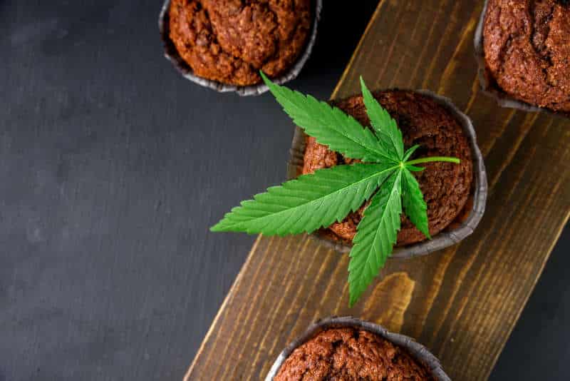 Exploring Cannabis-Infused Bran Muffins