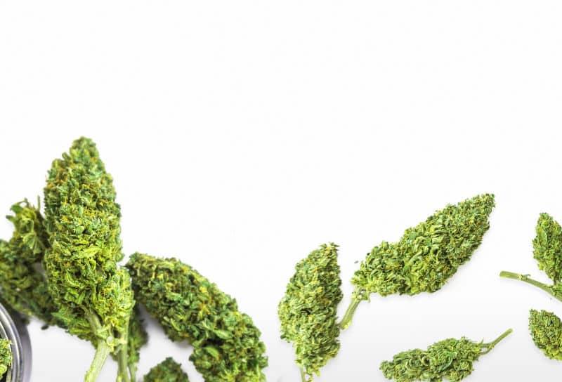 THC-A: The Precursor to THC and Its Potential Benefits