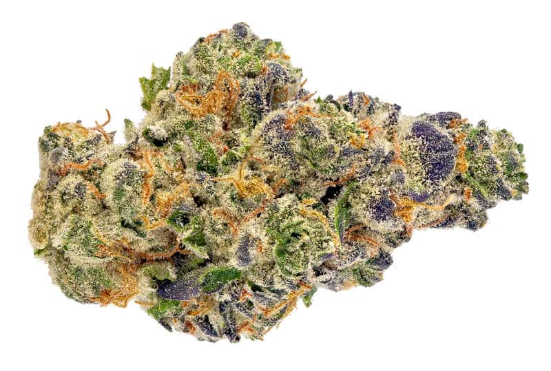 Animal Mints Cannabis Strain: a Flavorful and Potent Experience