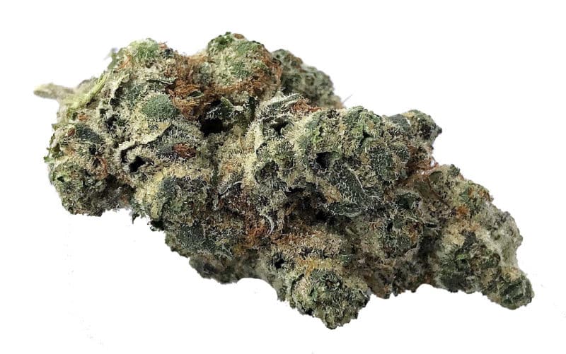 Strawberry Cooler Strain: A Blend of Flavors & Effects