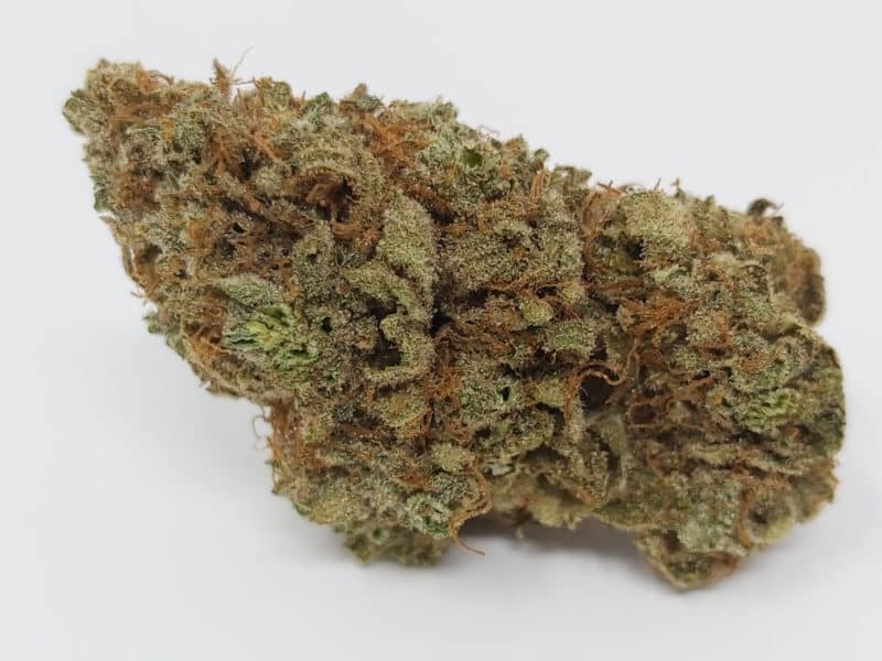 Grease Monkey Cannabis Strain: A Blend of Effects and Flavors