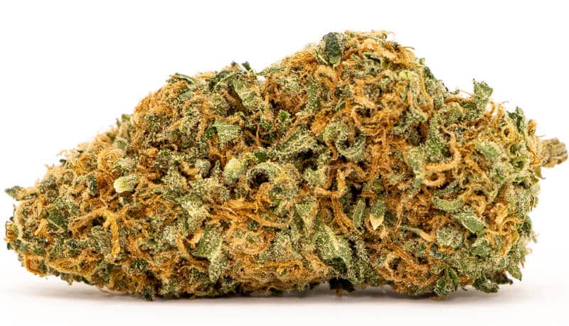 Mango Cannabis Strain: Tropical Escape to Blissful Relaxation