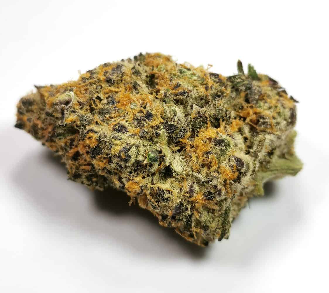 Meat Breath Cannabis Strain: A Blend of Flavors & Effects