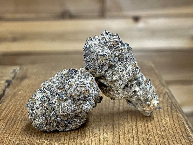 Oreoz: A Tasty and Relaxing Cannabis Strain