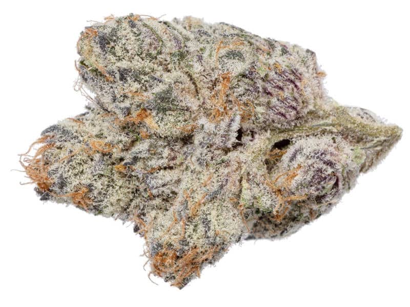 Slurricane Cannabis Strain: Wave of Relaxation and Flavorful Bliss