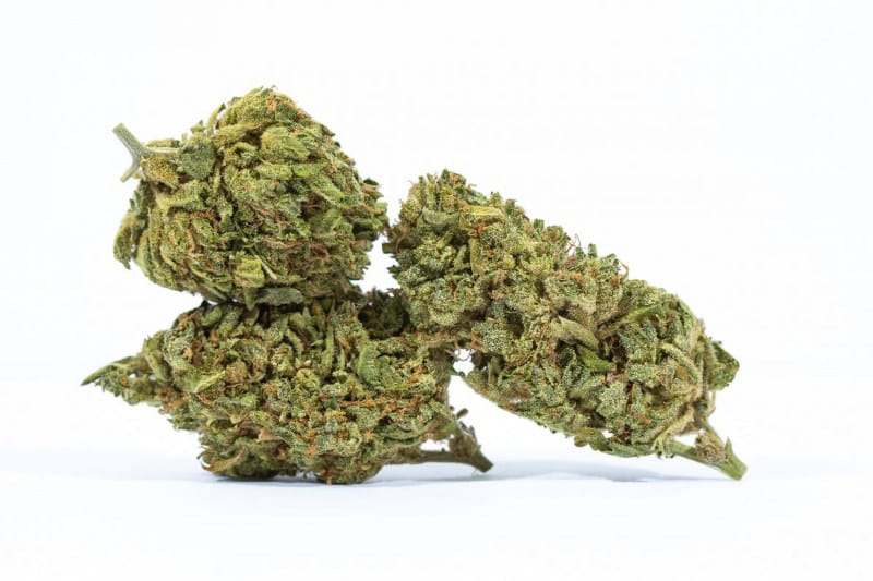 Papaya Punch Strain: Tropical Cannabis Journey into Bliss