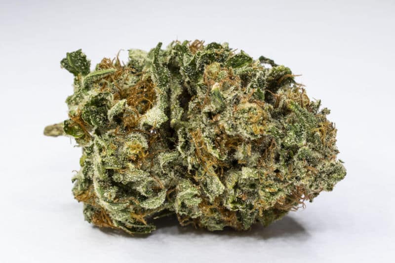 The Potency and Allure of Bruce Banner Cannabis Strain