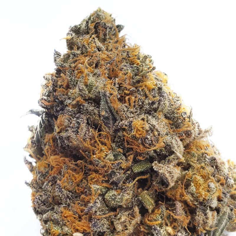 Gelato Cannabis Strain: A Sweet Symphony of Flavors and Effects