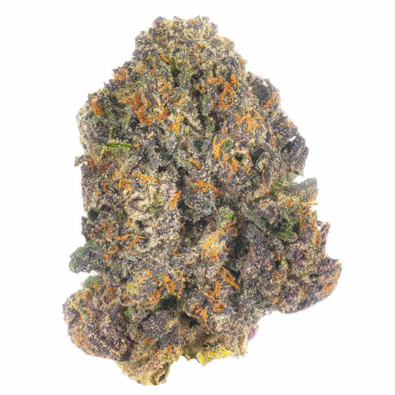 The Potency & Prowess of Jack the Ripper Cannabis Strain