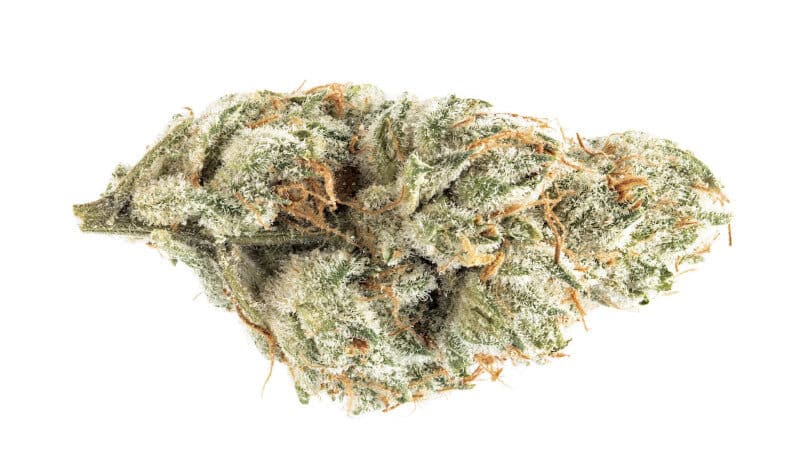 Orange Cookies: A Delightful Cannabis Strain with a Tangy Twist