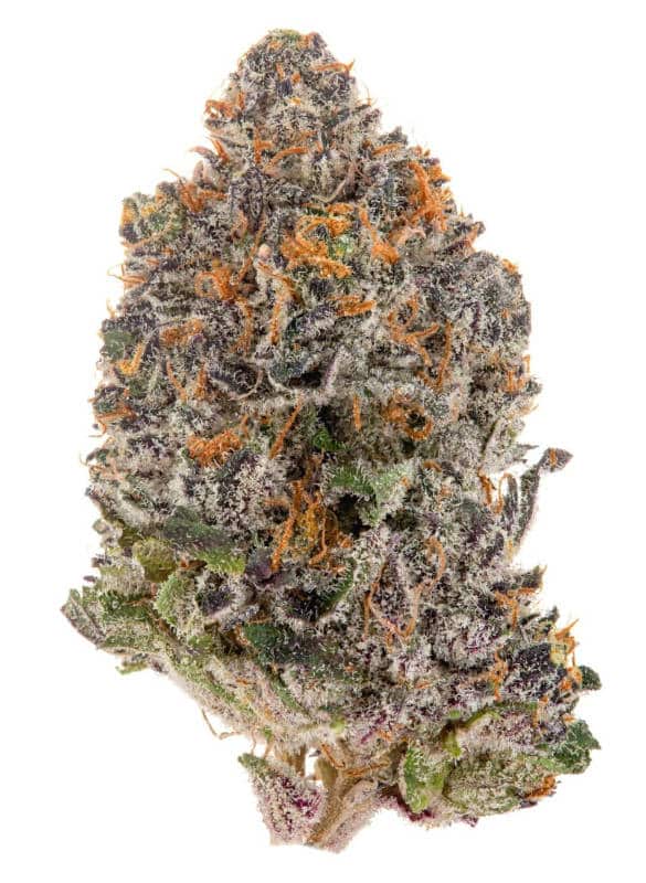 Sapphire OG: A Unique Cannabis Strain with Exquisite Qualities