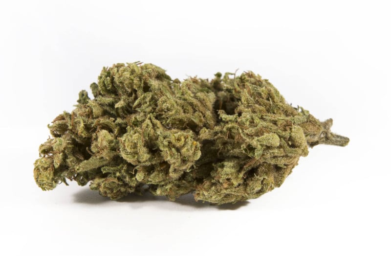 Exploring Midnight: A Cannabis Strain for the Night Owls