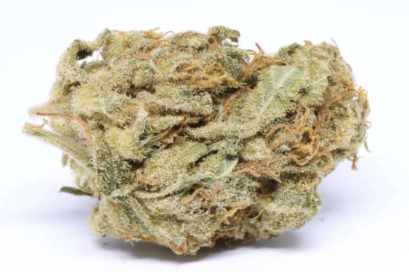 Snowball Strain: A Frosty Delight in Oklahoma