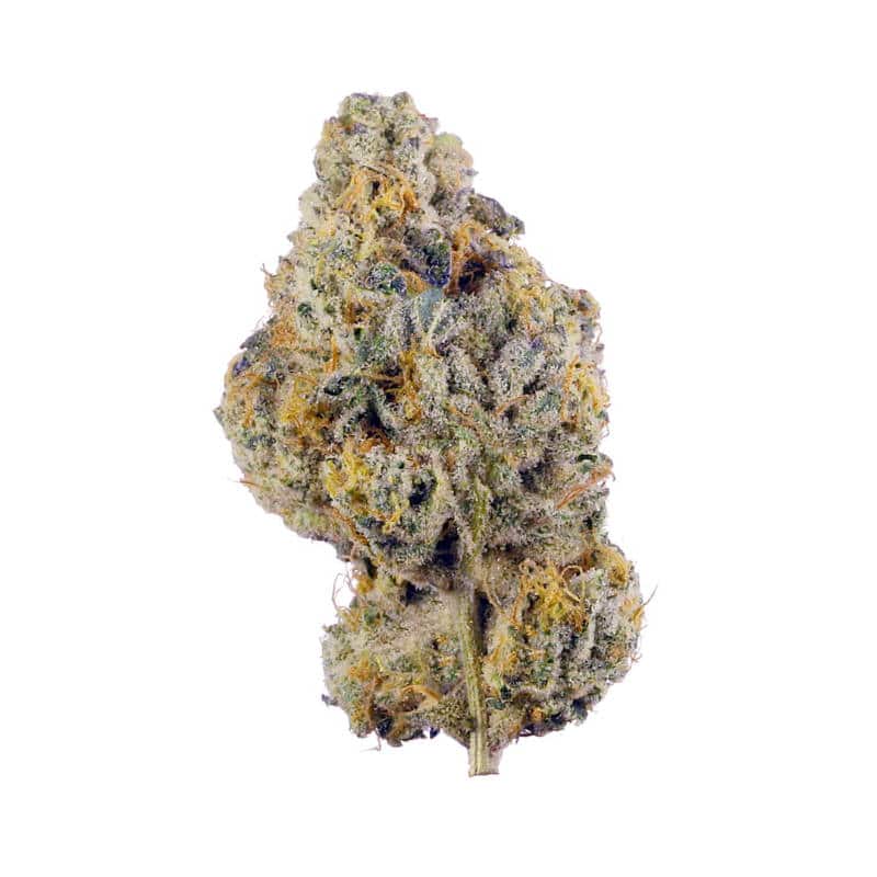 Cake Mix Strain Review – A Sweet and Potent Hybrid