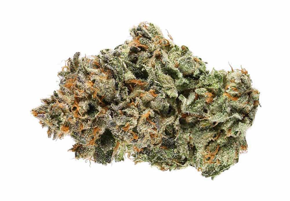 The Sweet Symphony of Effects: Sunset Sherbet Cannabis Strain