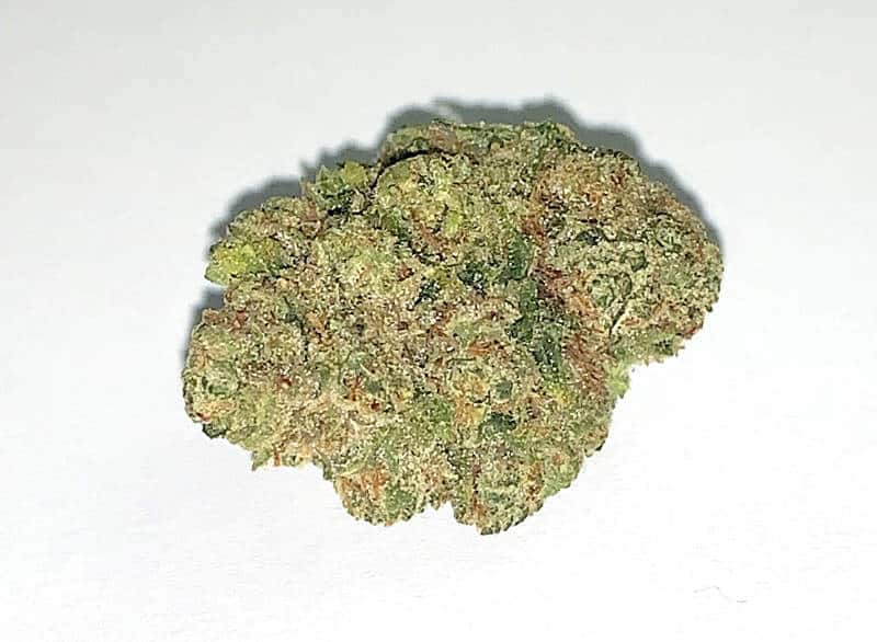 Blue Cookies Strain – A Hybrid Known for Full-Body Relaxation