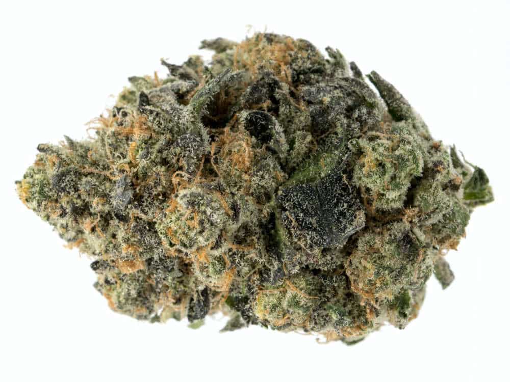 The Sweet Mystique of Girl Scout Cookies Cannabis Strain