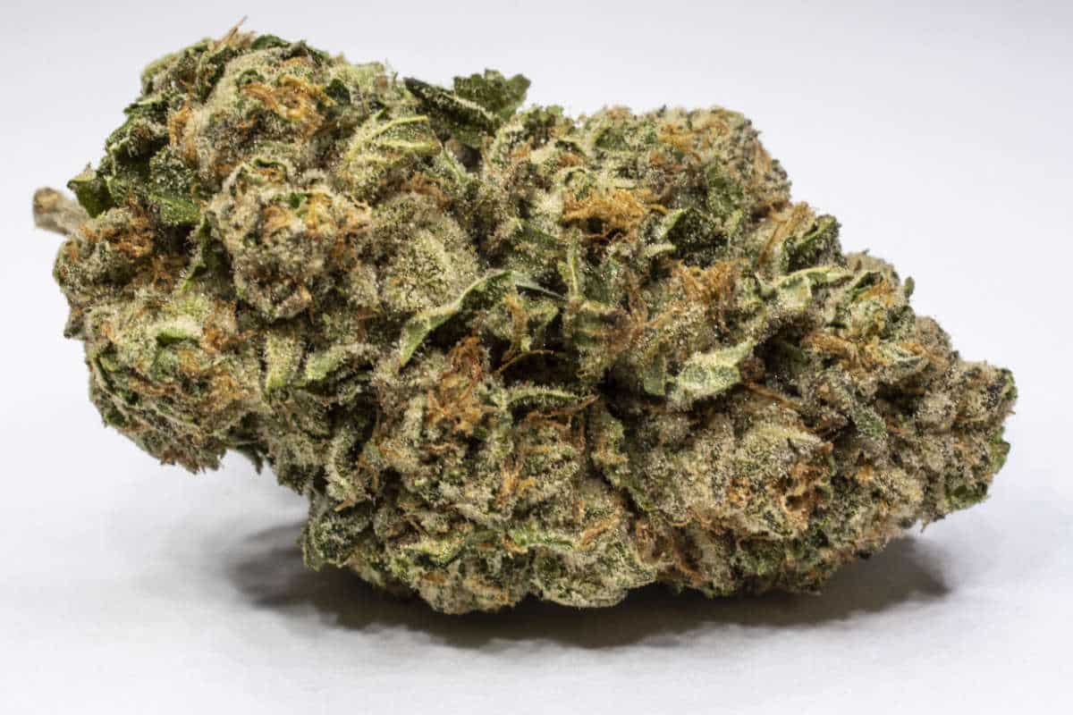Unveiling the Exotic Allure of Guava Kush Cannabis Strain