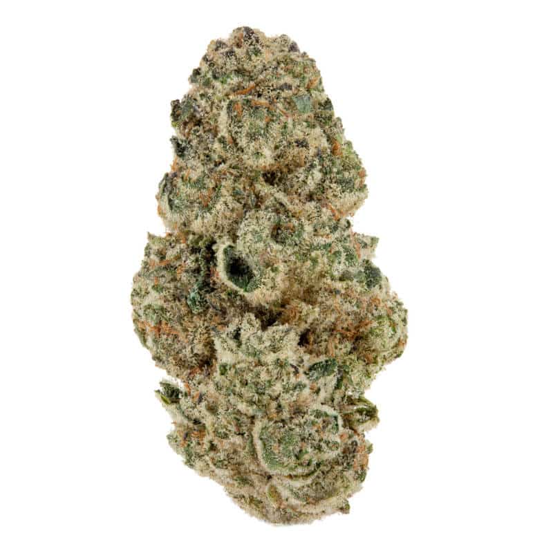Horchata Strain Review: A Sweet and Creamy Cannabis