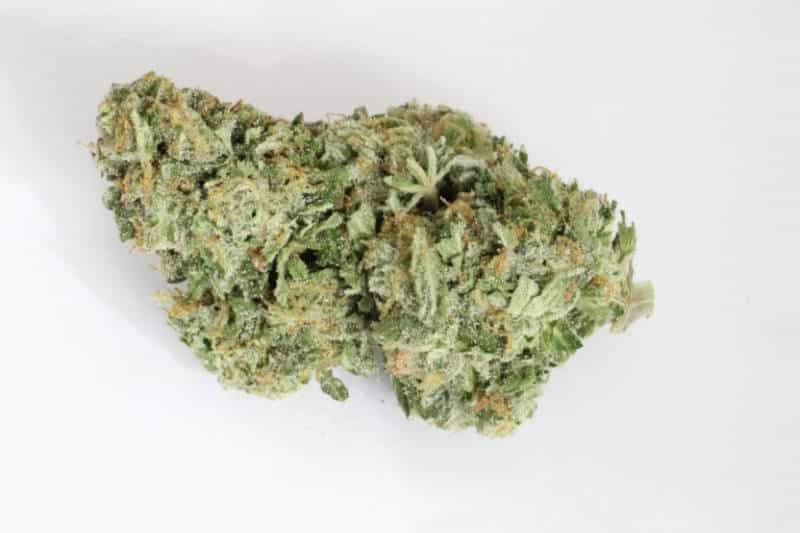 Jelly Rancher Cannabis Strain – Sweet as Candy