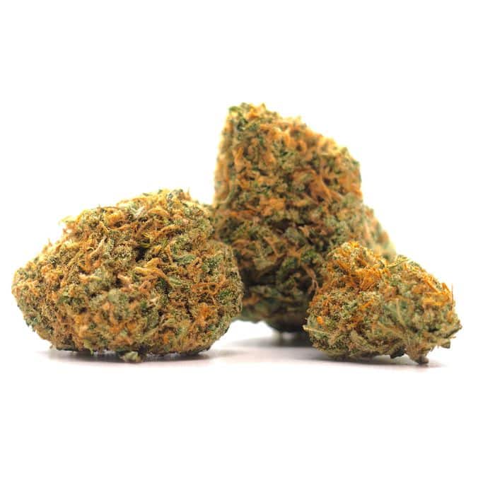 Agent Orange Cannabis Strain: Citrusy Delight with Potent Effects