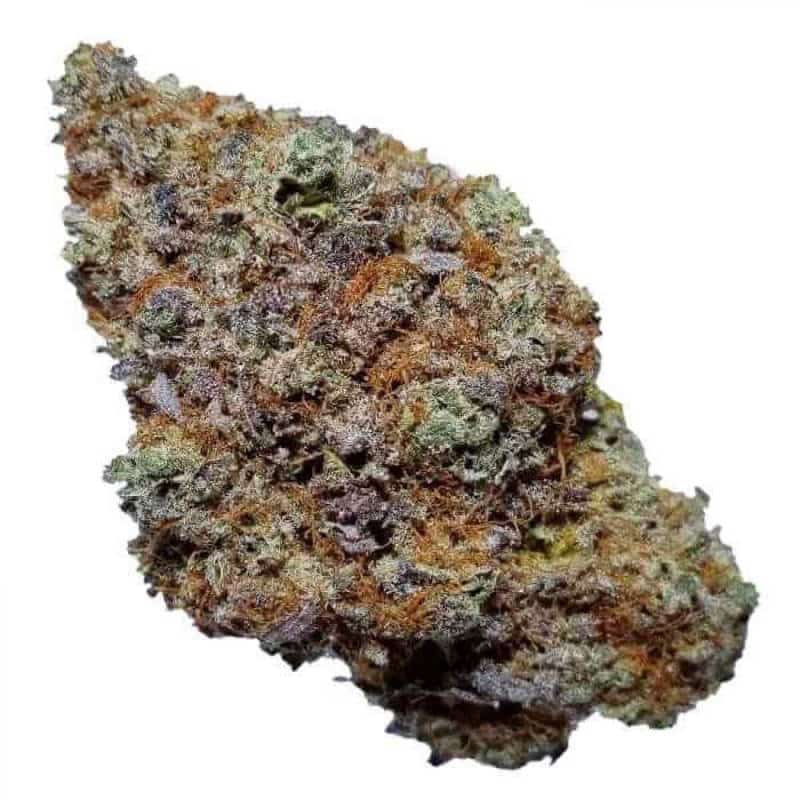 Blackberry Kush Strain: Bliss of a Berry Cannabis Experience