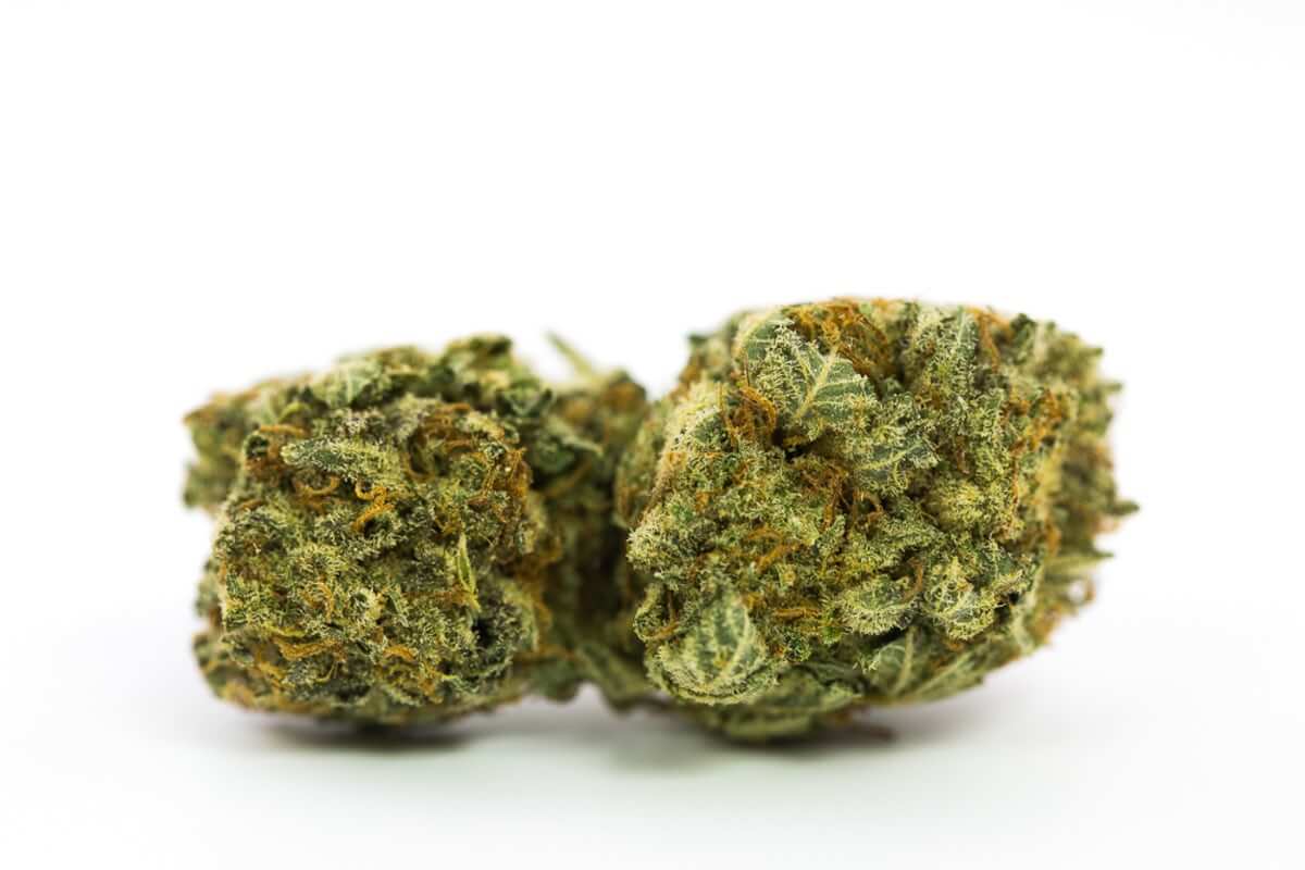Chemdawg Cannabis Strain: Potency and Pioneering Legacy