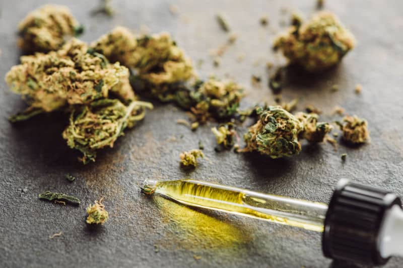 Cannabis Concentrates: The Art & Science of Terpenes