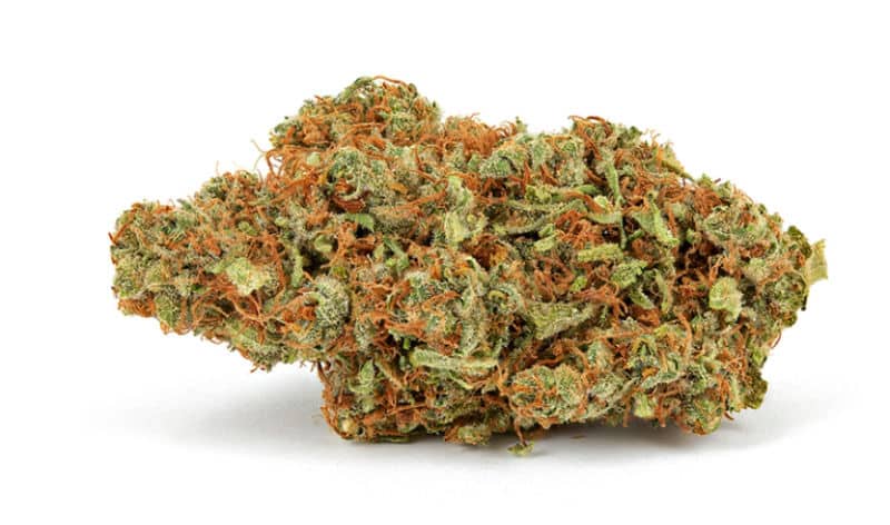 God’s Gift Cannabis Strain: A Blend of Potency & Relaxation