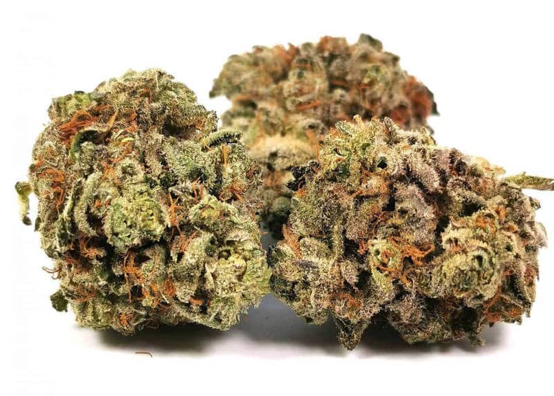 Headband Cannabis Strain: Potent and Tranquil Effects