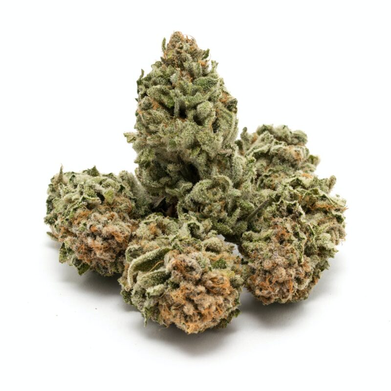 Power of Relaxation: The 9 lb Hammer Cannabis Strain