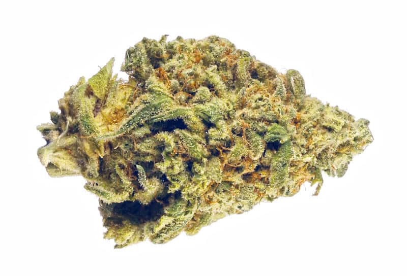 Afternoon Delight: A Cannabis Strain for Blissful Relaxation