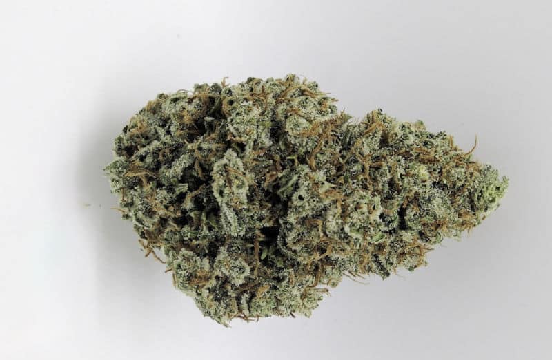 Ajo Blanco Cannabis Strain: A Blend of Flavor and Effects